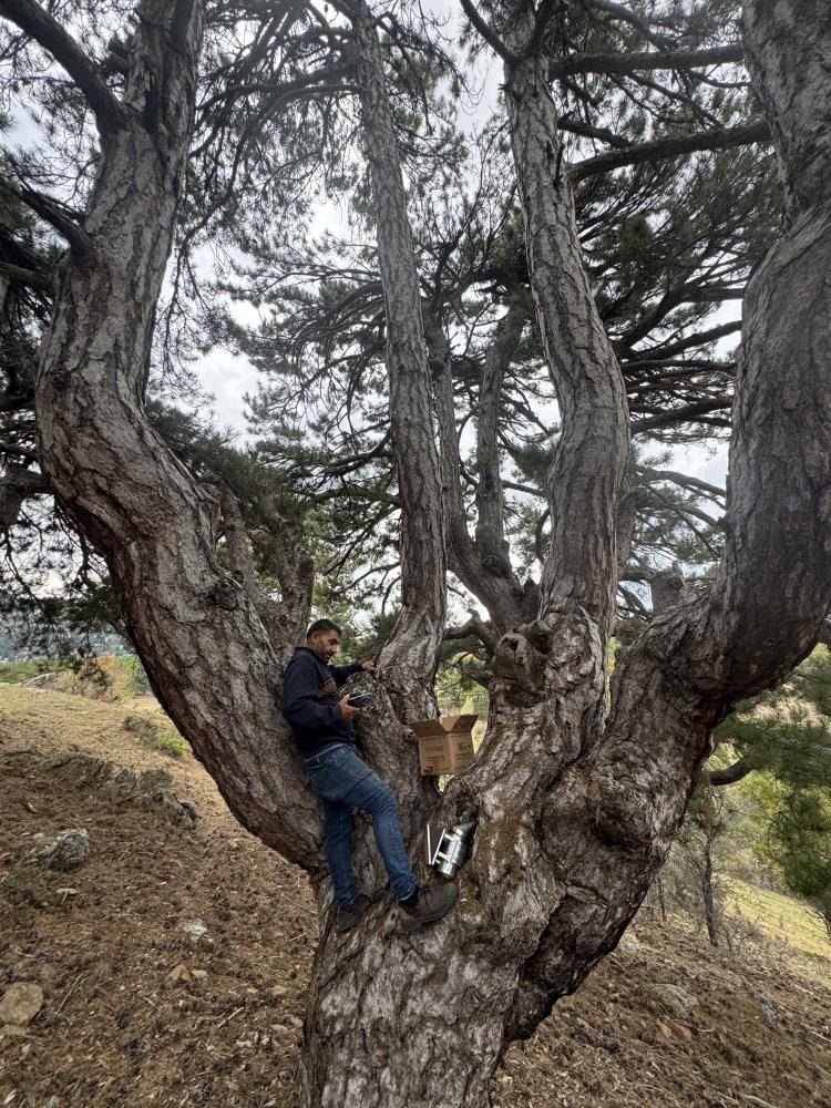 Konya’ya kadar firari izi sürüp hazineye ulaşıyorlar 10